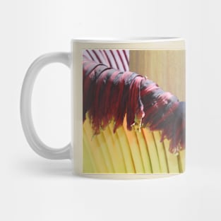 Corpse Lily Closeup Mug